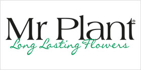 MR PLANT
